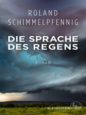 cover image of Die Sprache des Regens